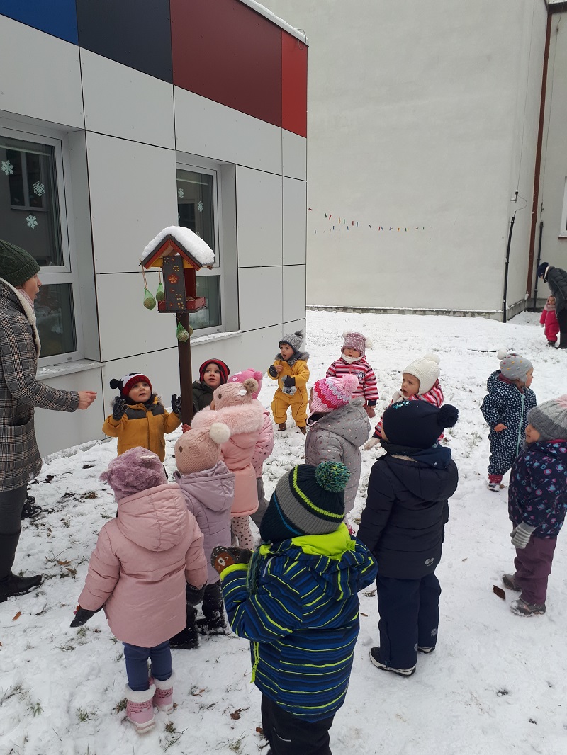 Dokarmianie ptaszków