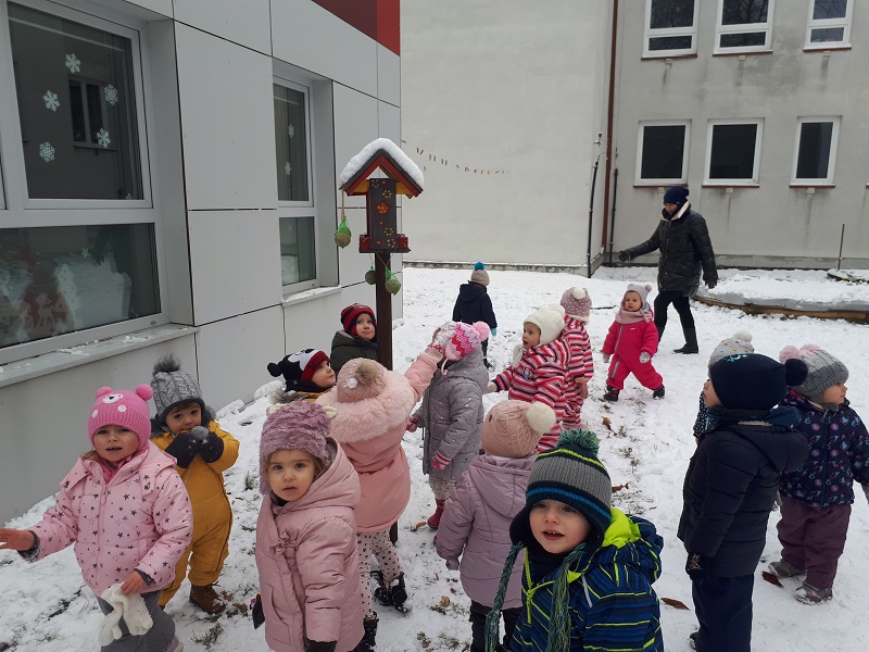 Dokarmianie ptaszków