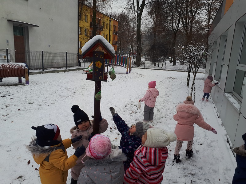 Dokarmianie ptaszków